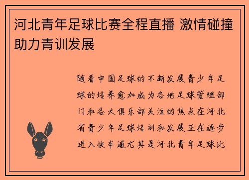 河北青年足球比赛全程直播 激情碰撞助力青训发展